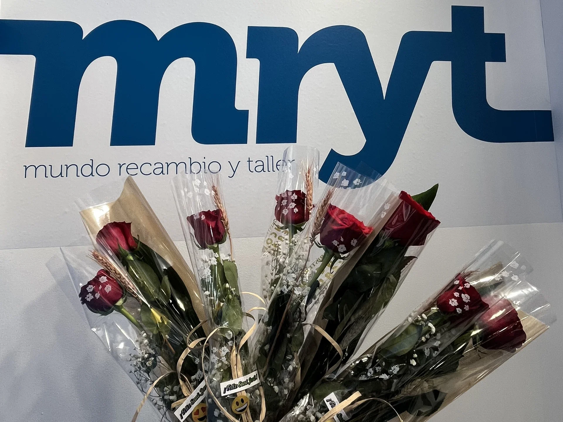Ramos de rosas rojas envueltos en plástico frente a una pared con el logotipo y el texto azul "mryt".